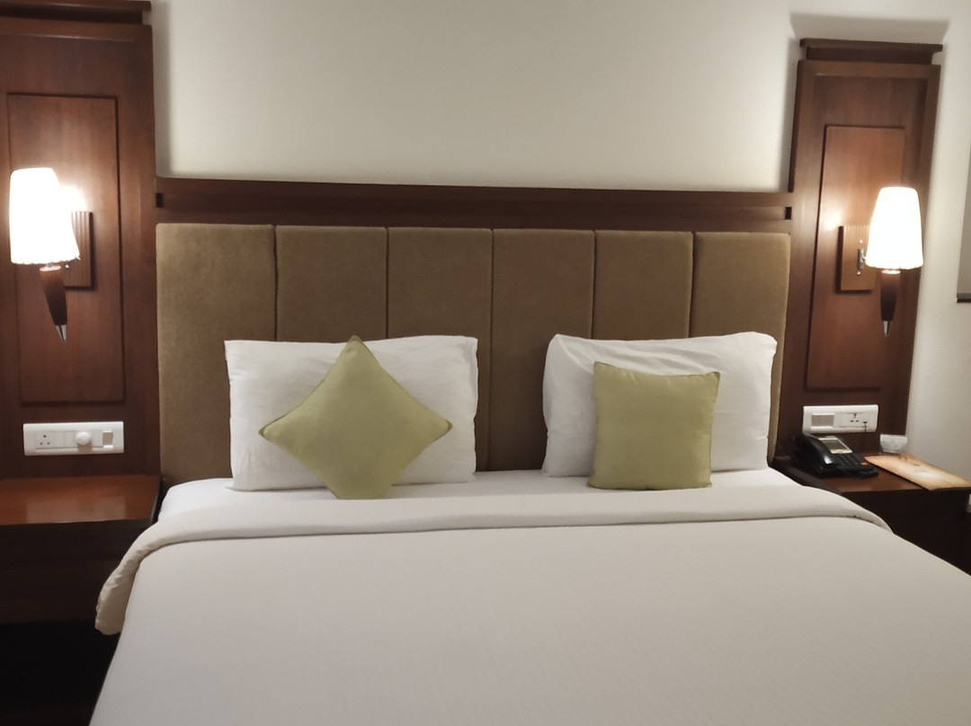 Hotel Kailash International主图