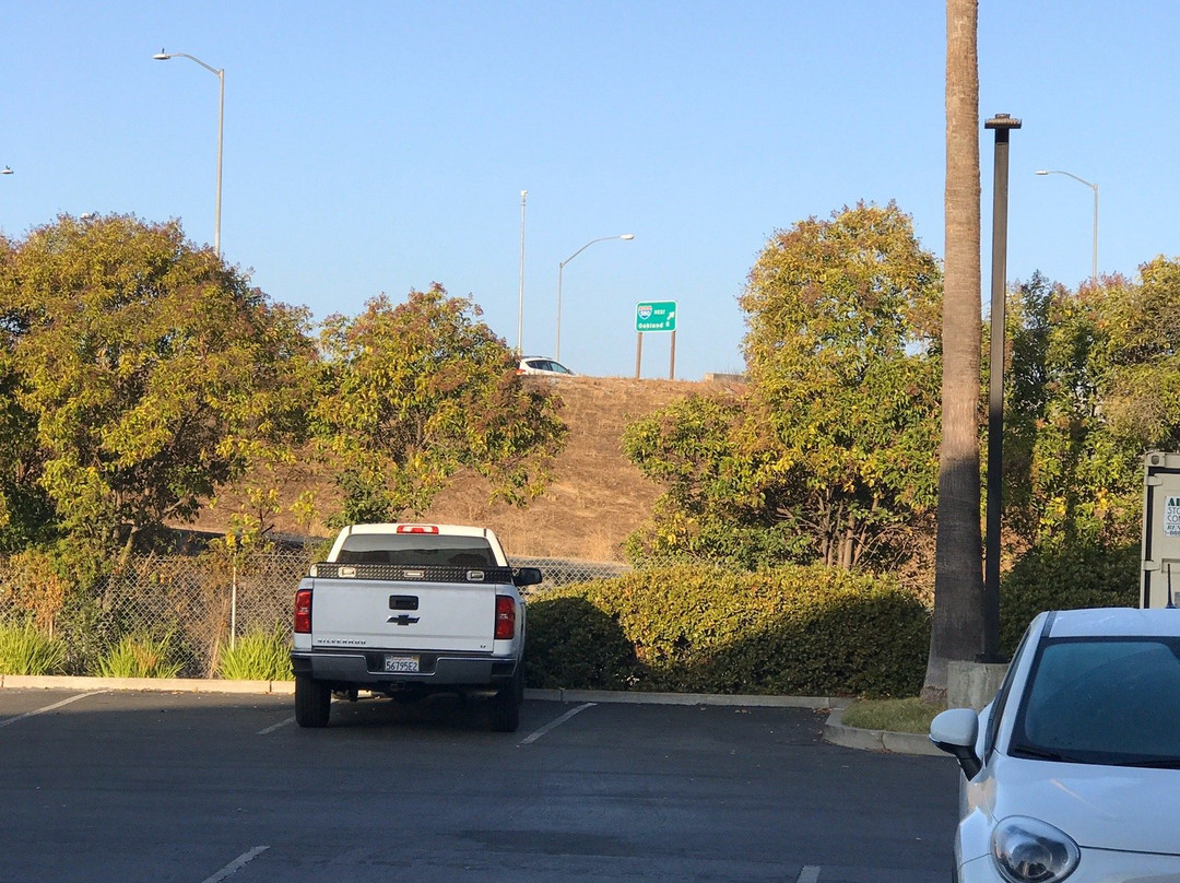 Best Western Plus Pleasanton Inn主图