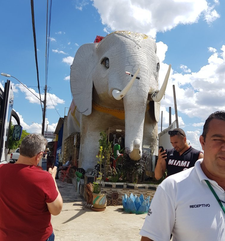 Escultura Casa Elefante-Cordisburgo必去景点