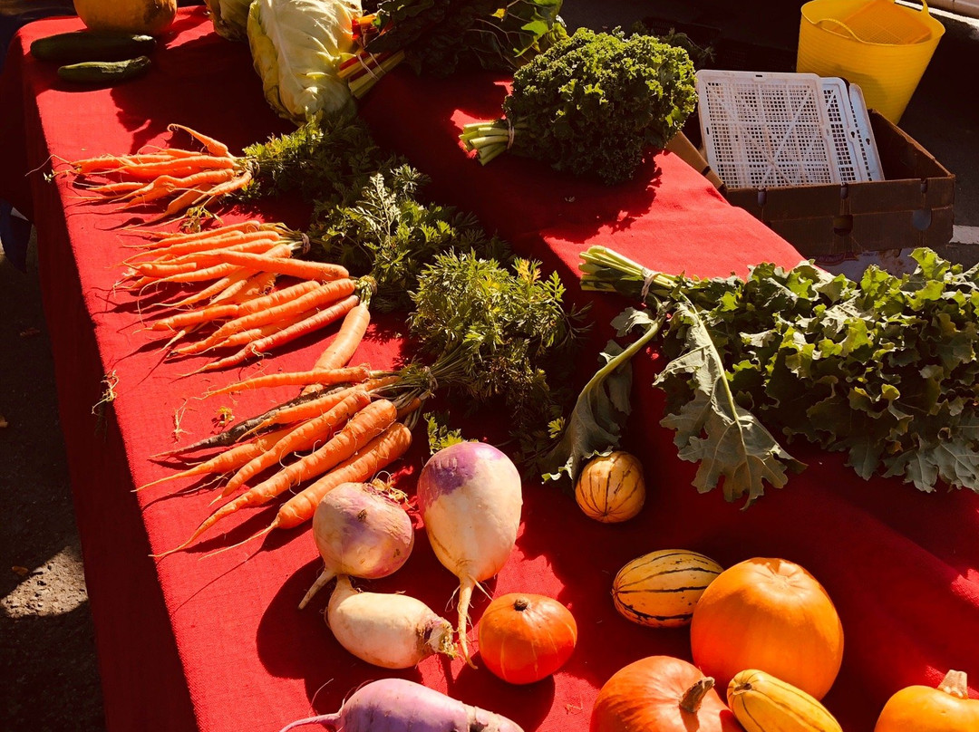 Arcata Plaza Farmers' Market景点图片