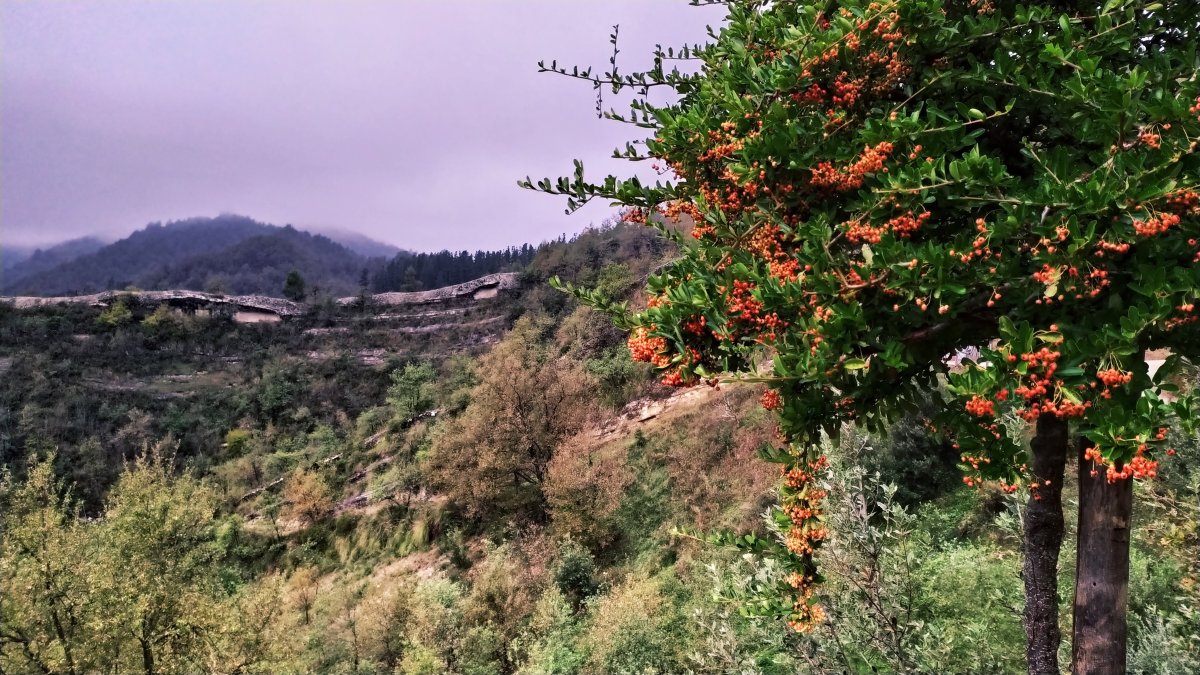 拉克丽娜黛尔塔图福酒店-酒店景观