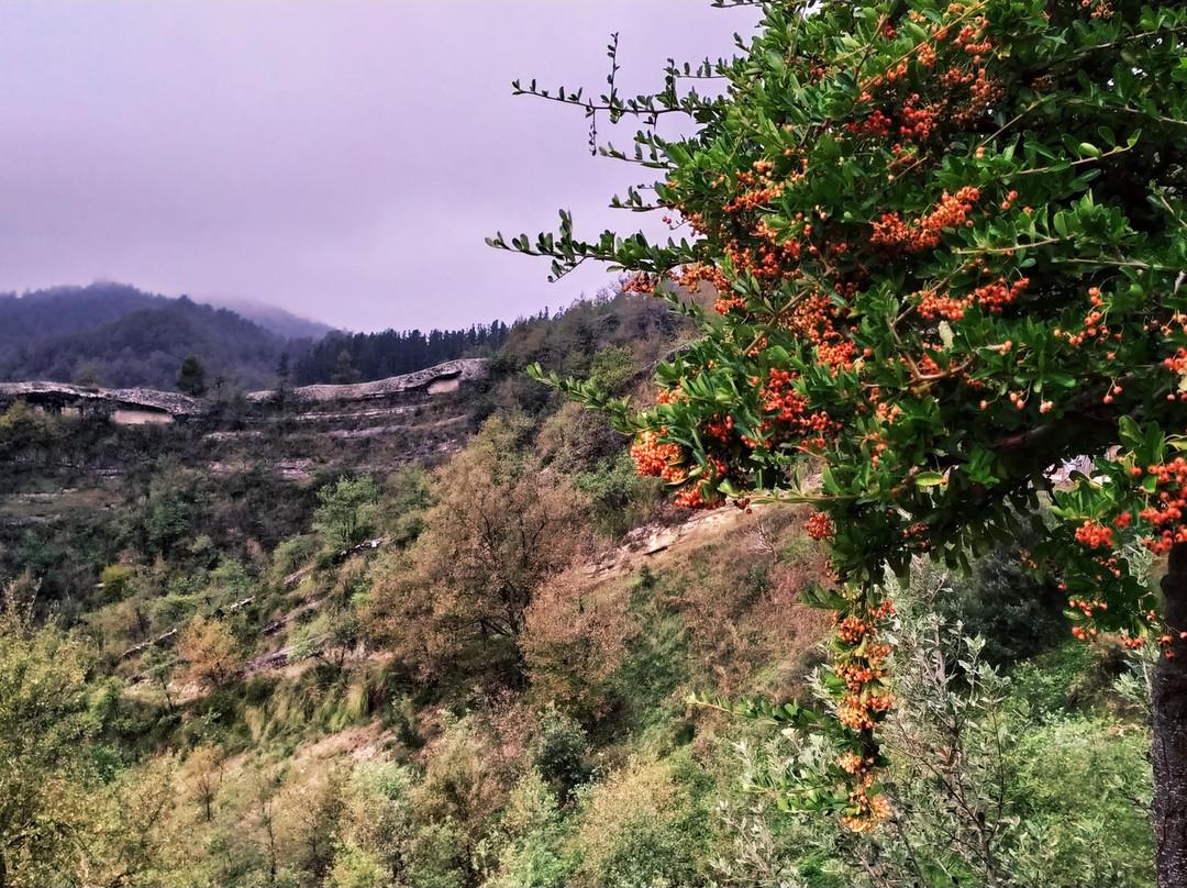 拉克丽娜黛尔塔图福酒店主图