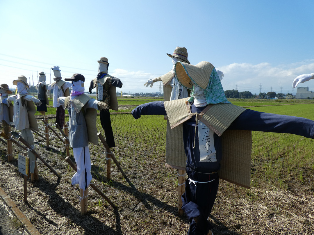 Okutomi Kakashi Festival-狭山市必去景点