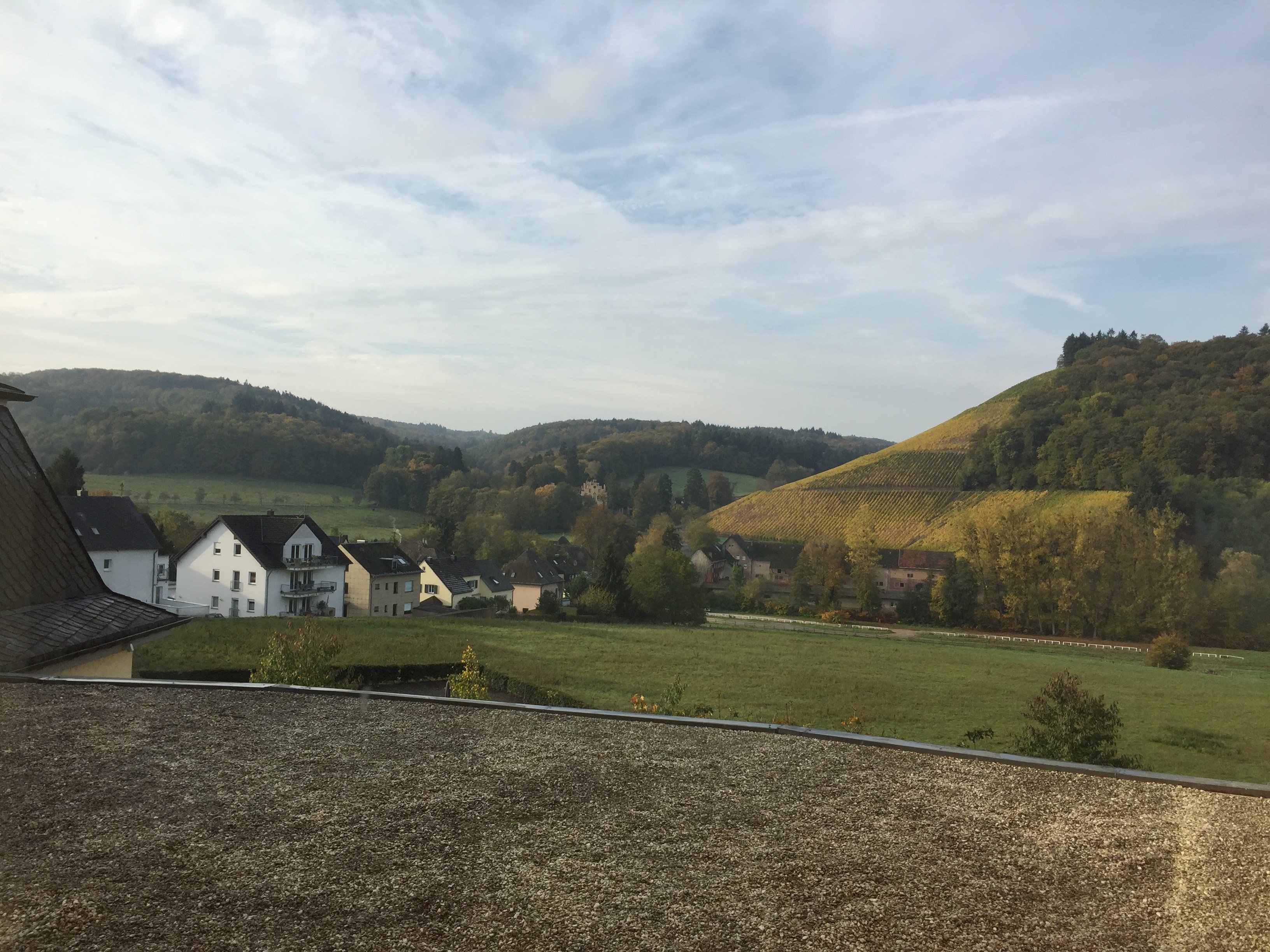 Hotel Weingut Weis-酒店景观