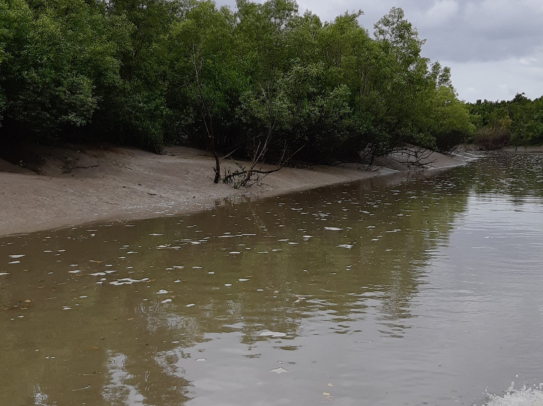 Whitsunday Crocodile Safari-艾尔利滩必去景点