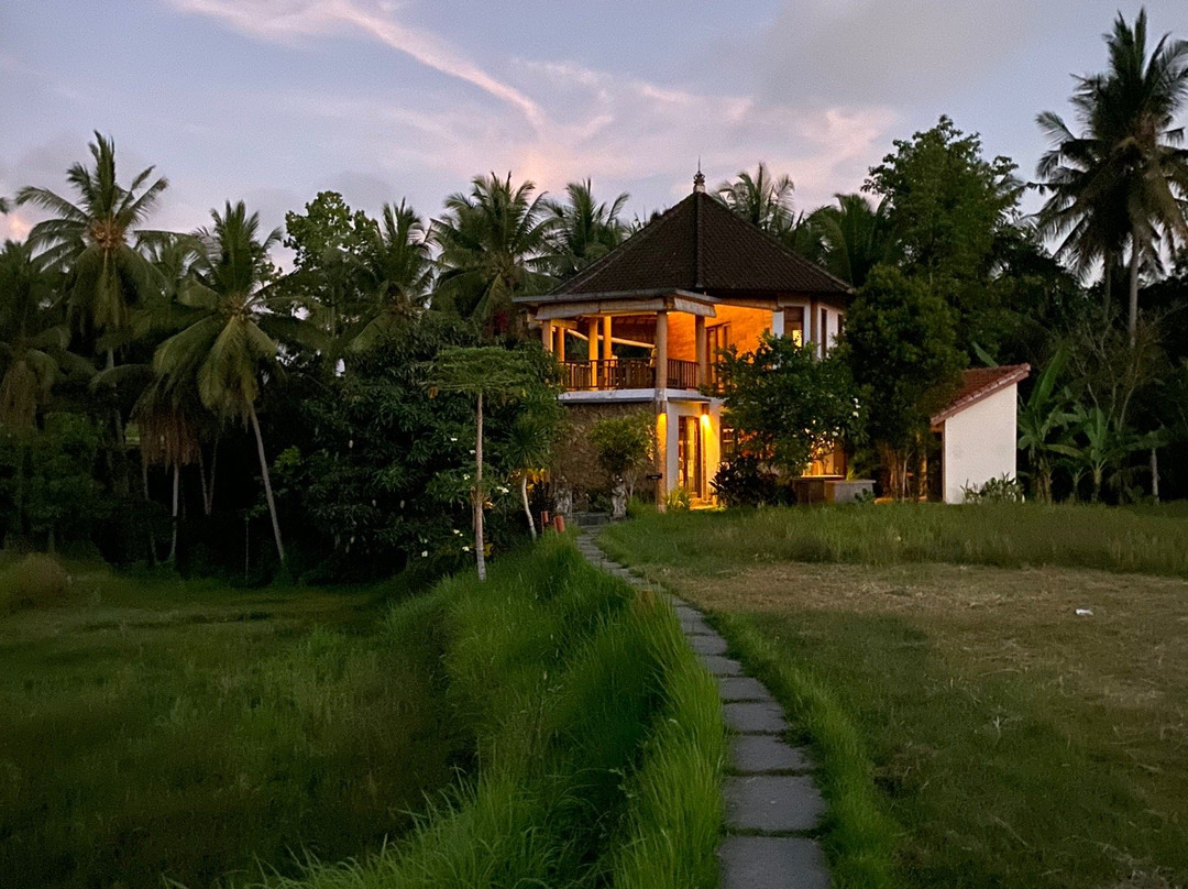 The Yoga House主图