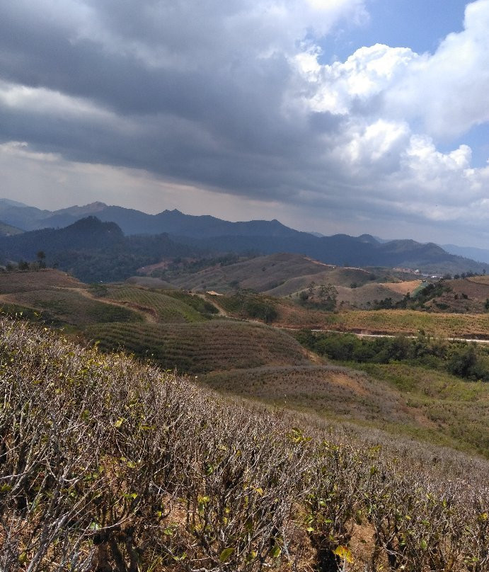 Malino Highlands景点图片