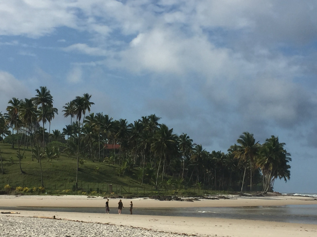 Sul Beach-Ilheus必去景点