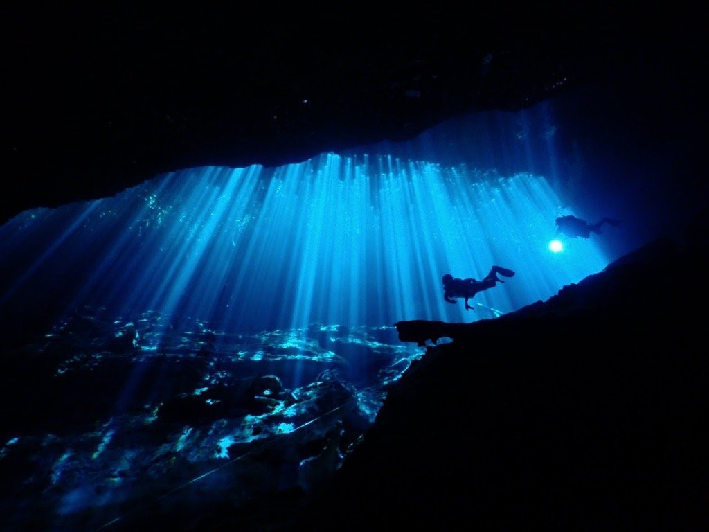 Cenote Jardín del Eden景点图片