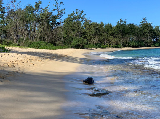 North Shore Tour Guide-哈雷瓦必去景点