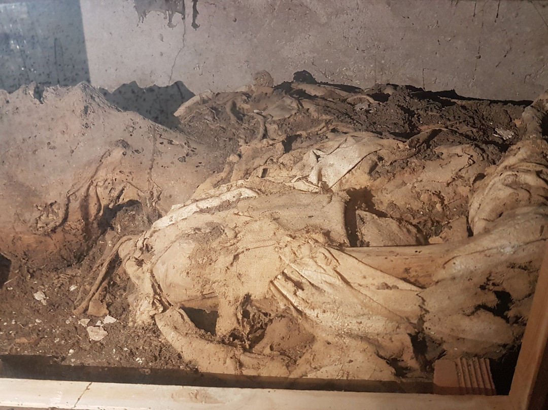 Convento de los Carmelitas Descalzos景点图片