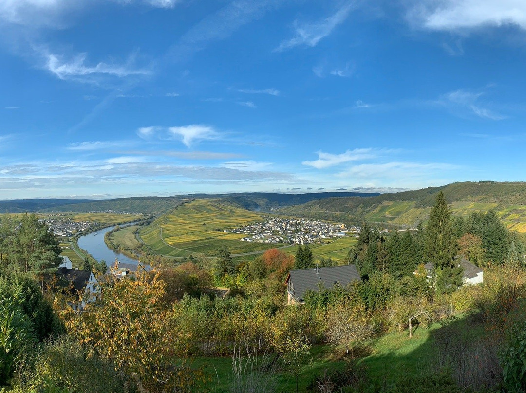 Gastehaus-Weingut Loersch-Eifel主图