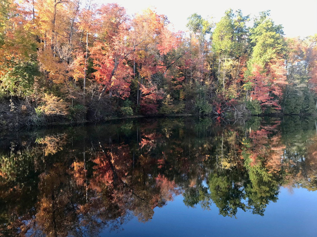 Benmiller Inn & Spa主图