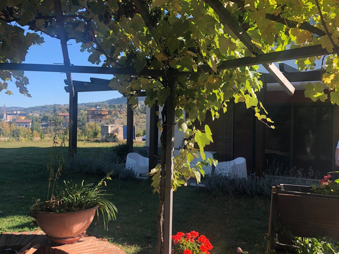 Il Papavero Country House主图