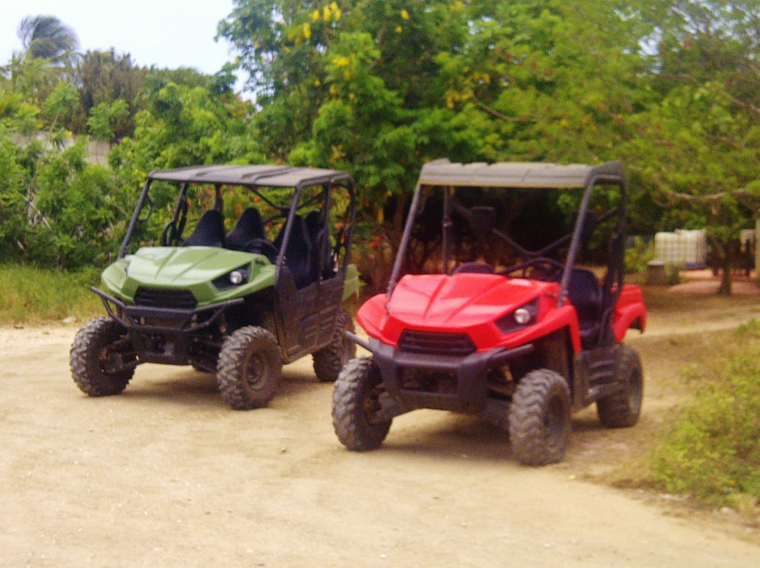 Aruba Sunrise Tours-萨瓦内塔必去景点