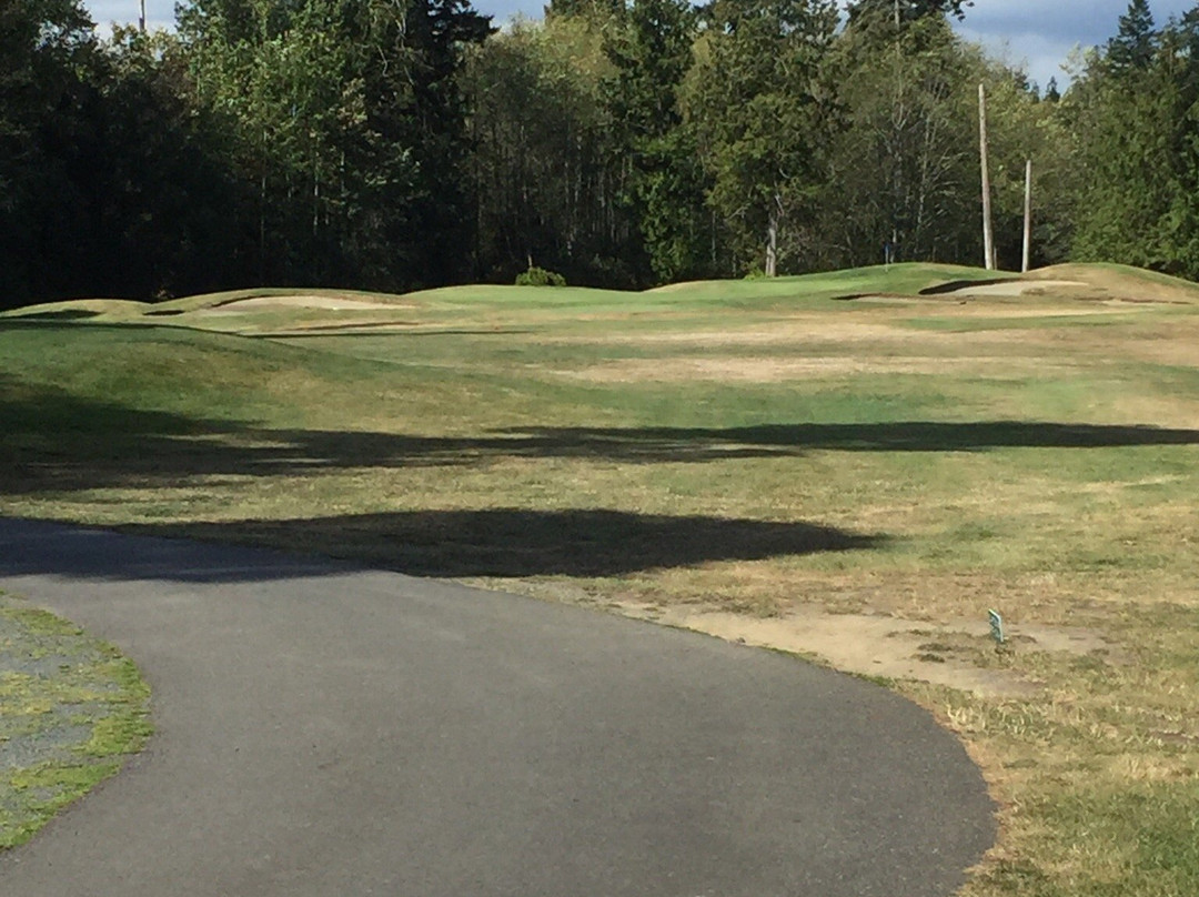 Morningstar Golf Club景点图片
