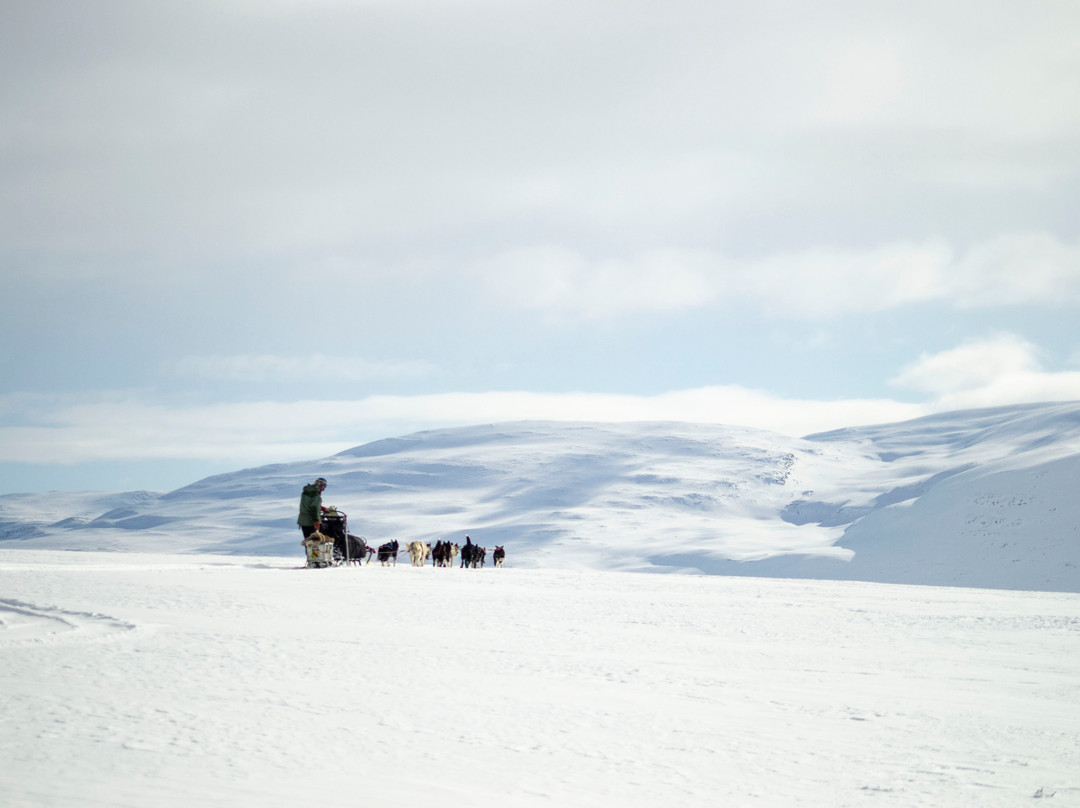 Gargia Husky The True North Experience-阿尔塔必去景点