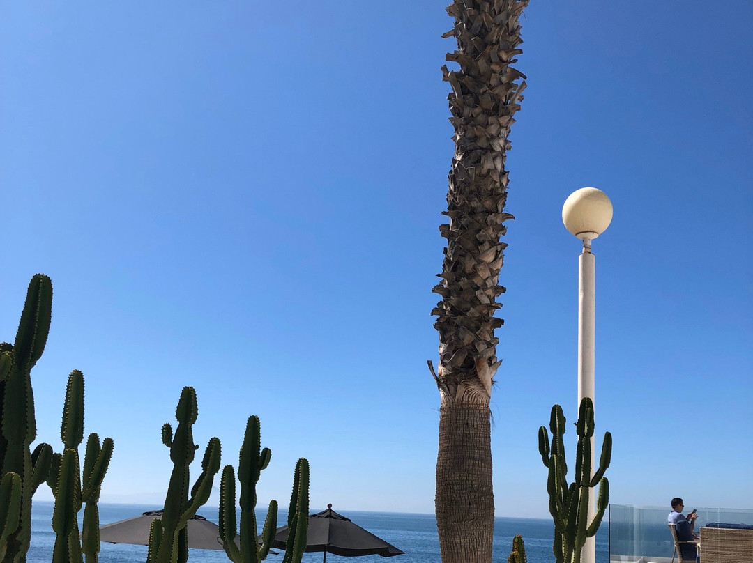 Casa Natalie  Hotel Boutique主图