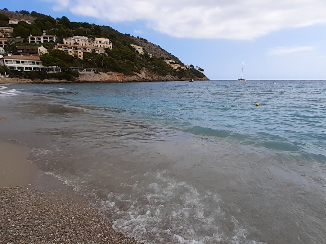 Platja de Canyamel-Canyamel必去景点