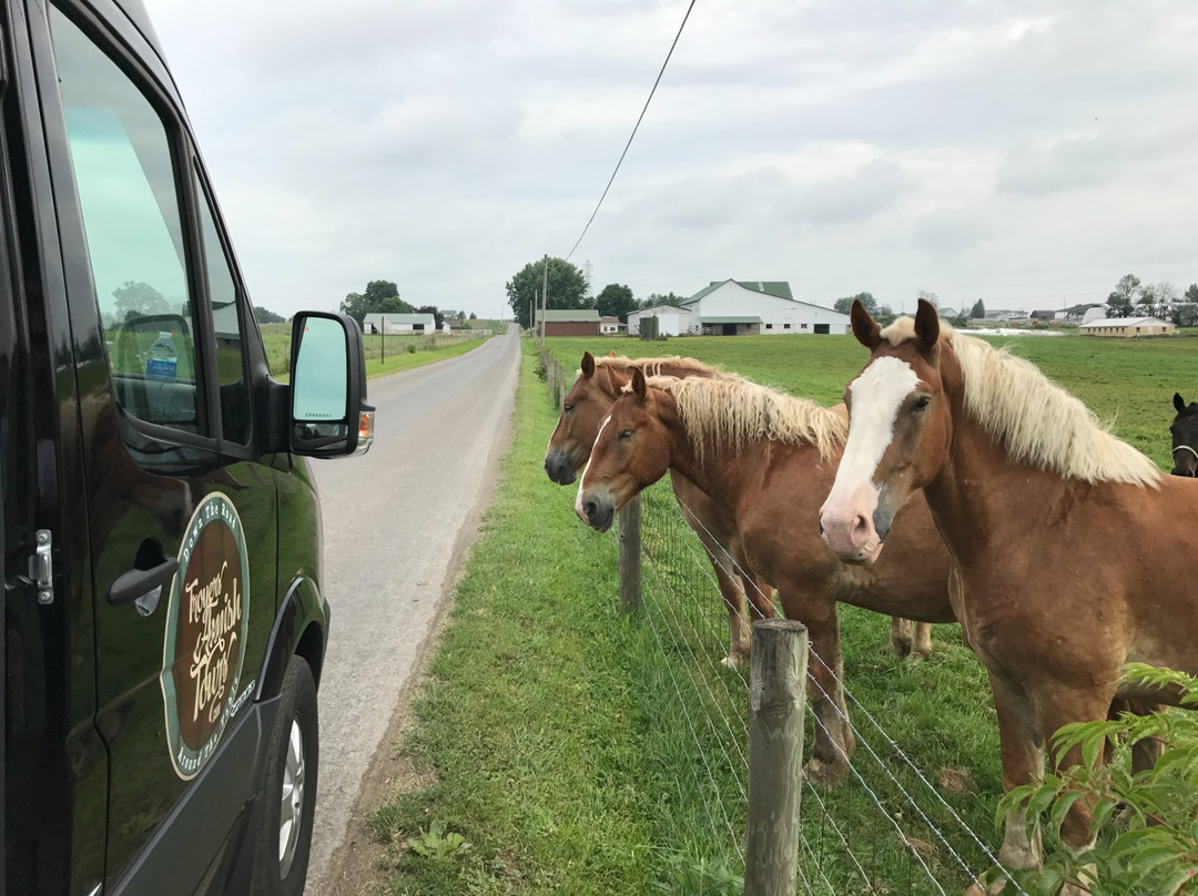 Troyer's Amish Tours Llc景点图片