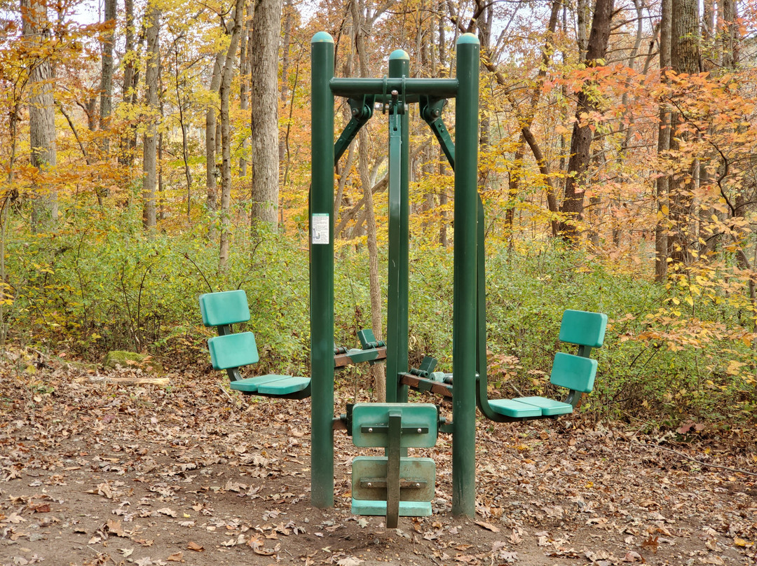 Summerfield Community Park景点图片