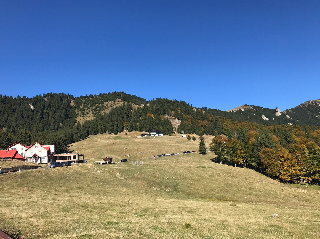 Muntele Rosu (Red Mountain)景点图片