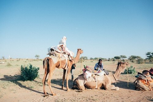 GreenArts Farm & Cottage主图