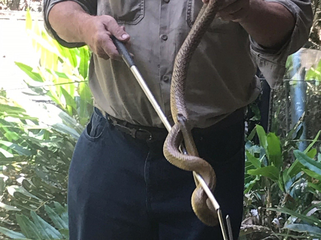 Global Travel Services-凯恩斯必去景点