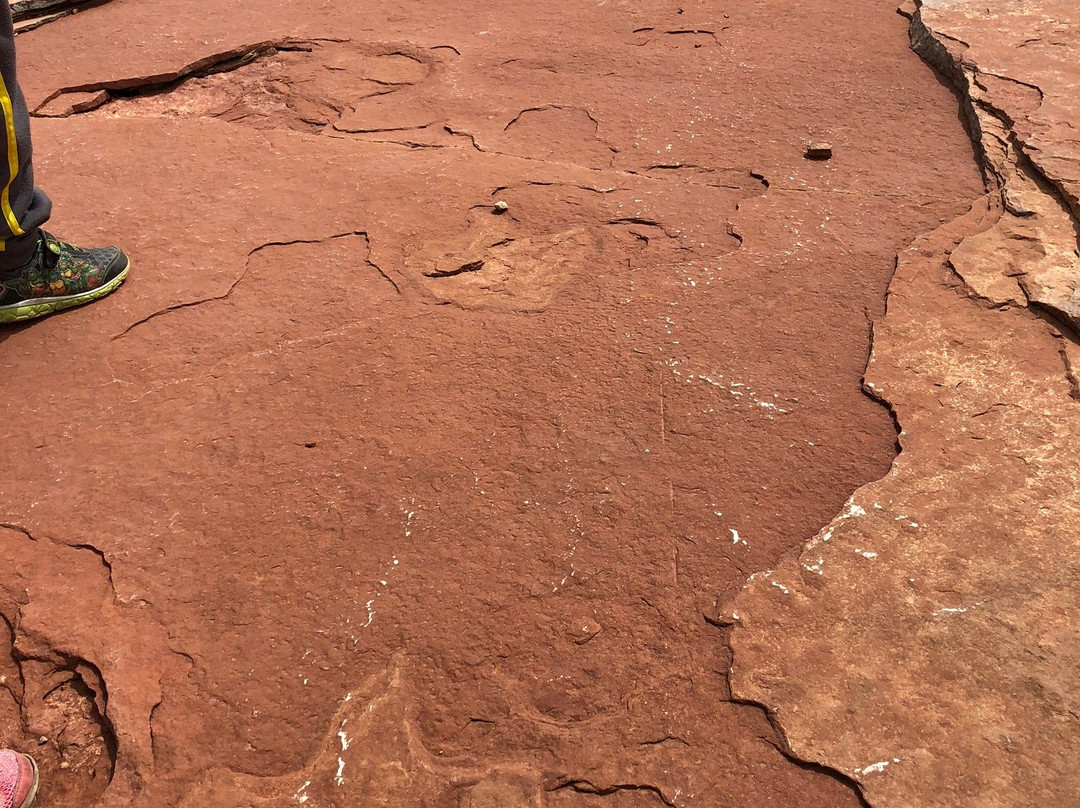 Red Fleet State Park-Vernal必去景点