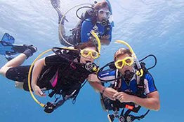 Texas Dive Center景点图片