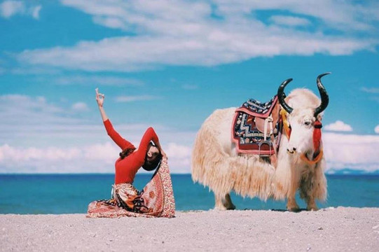 DKRTravel-达拉斯必去景点