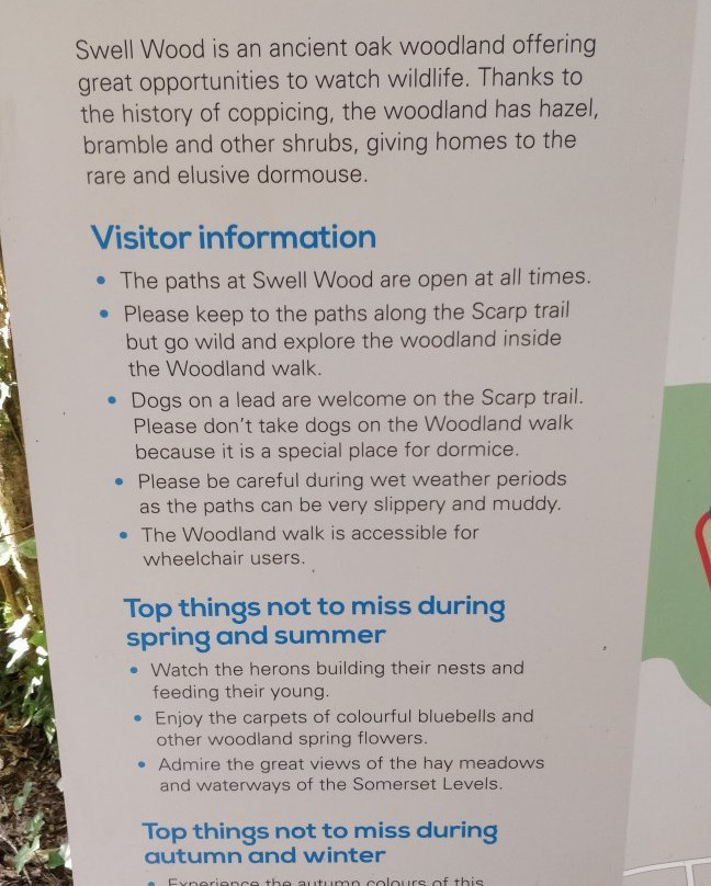 RSPB Swell Wood Nature Reserve-汤顿必去景点