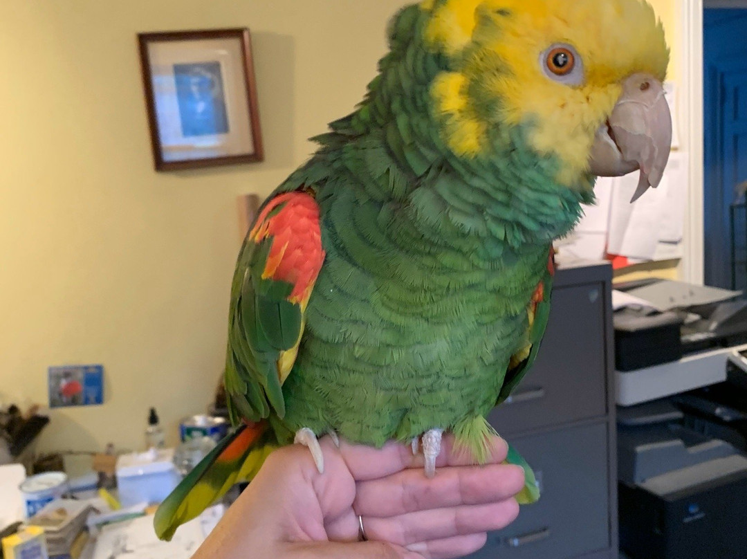 Sweetbriar Nature Center-Smithtown必去景点