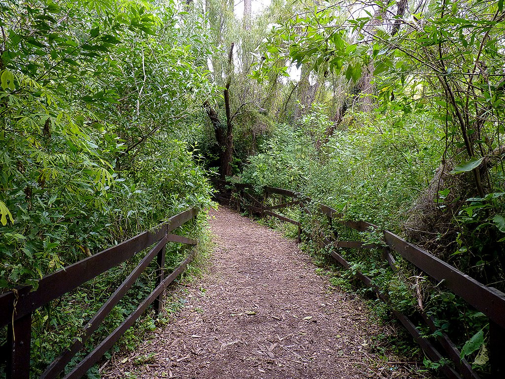 Reserva Ecológica Vicente Lopez景点图片