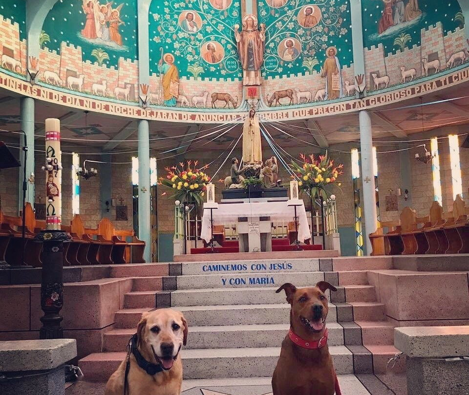 Parroquia Nuestra Señora de Fatima-Manizales必去景点