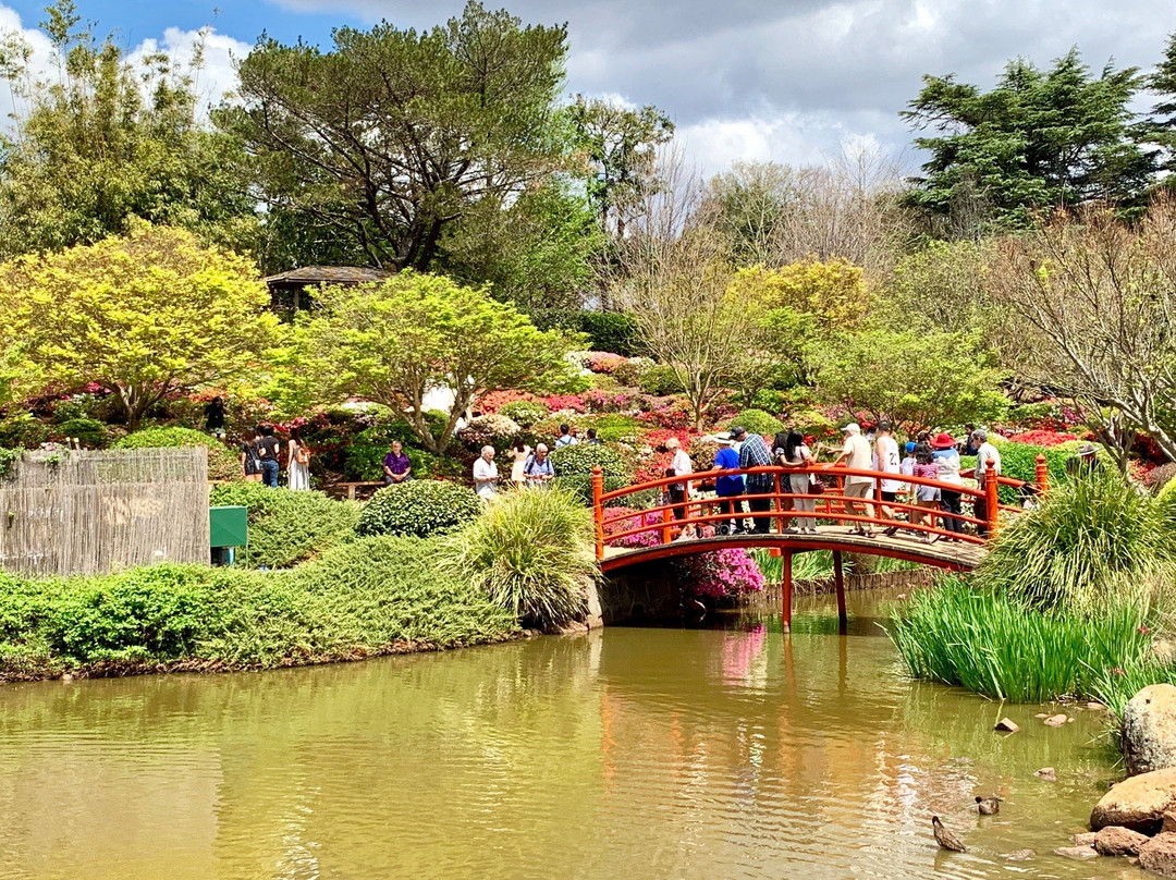 Palmer's Coaches & Tours-伯利角必去景点