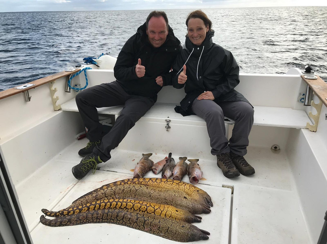 Azores Now - Sportfishing-Lajes do Pico必去景点