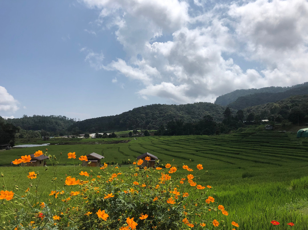 JoinUsThai-Doi Suthep必去景点