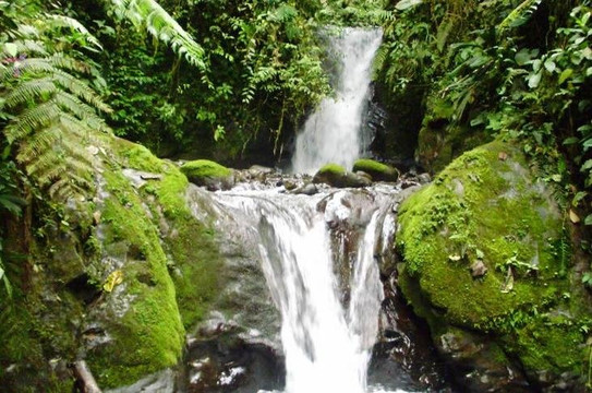 Mindo things to do-明多必去景点