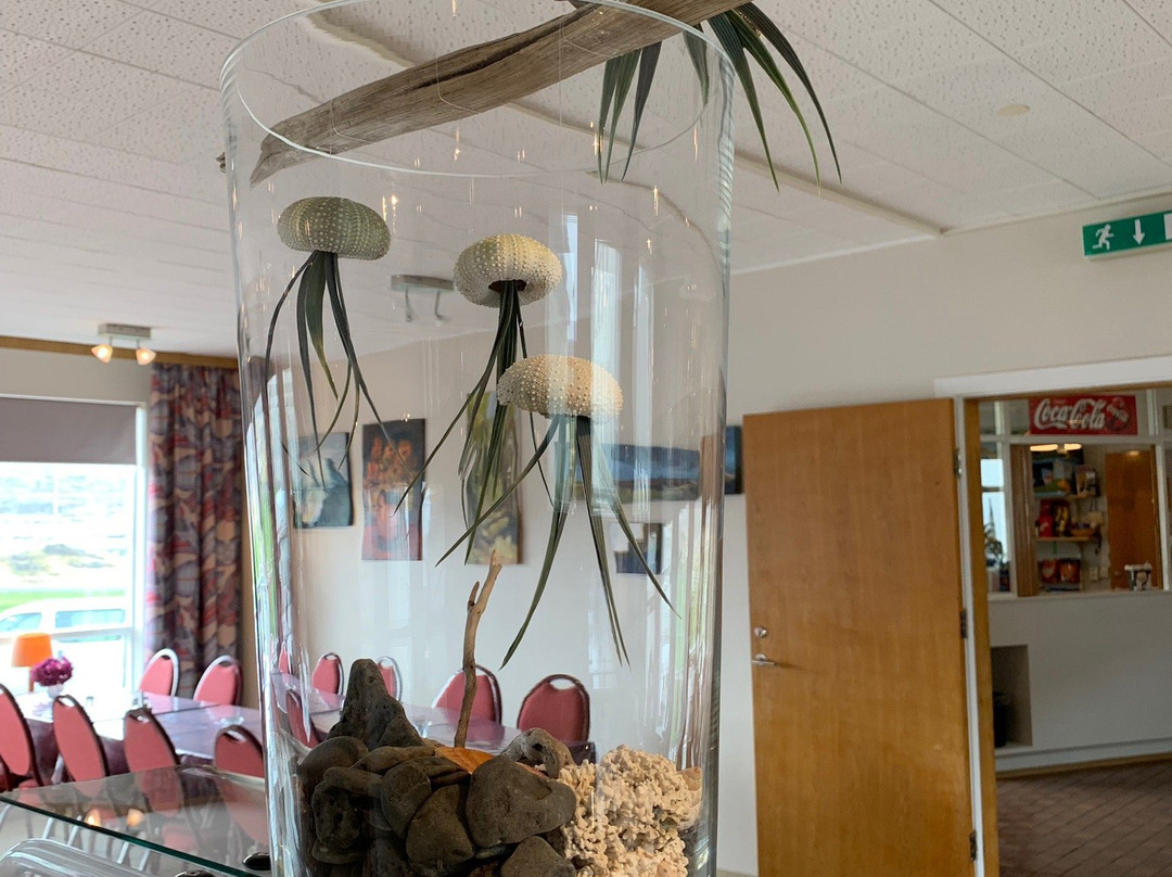 Hotel Reykjanes主图