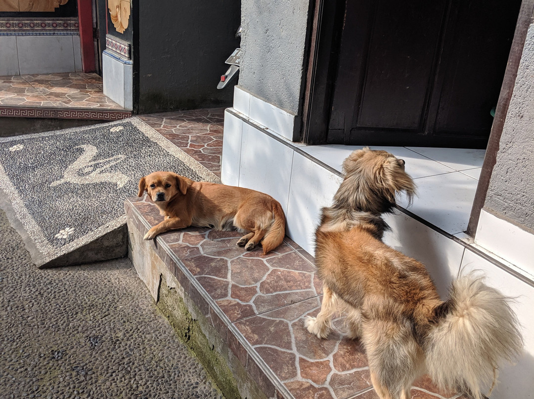 卡里萨别墅酒店主图