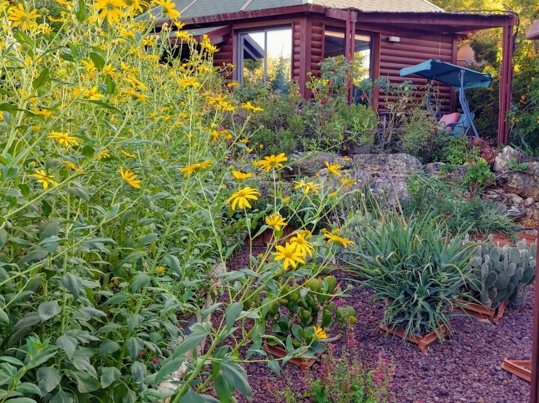 Noble Mountain主图