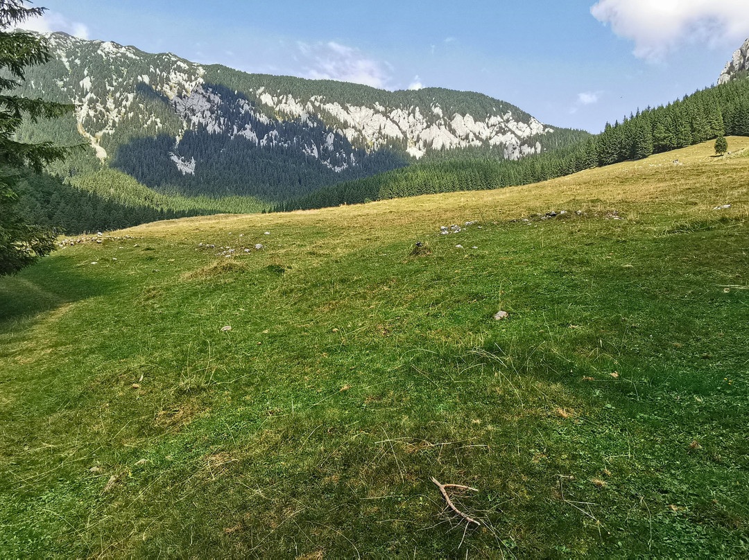 Piatra Craiului National Park景点图片