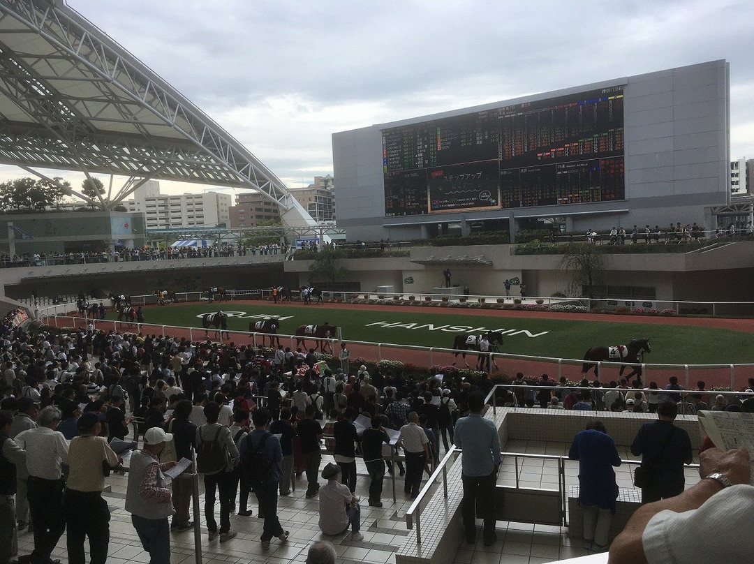 Hanshin Horse Racetrack-宝冢市必去景点