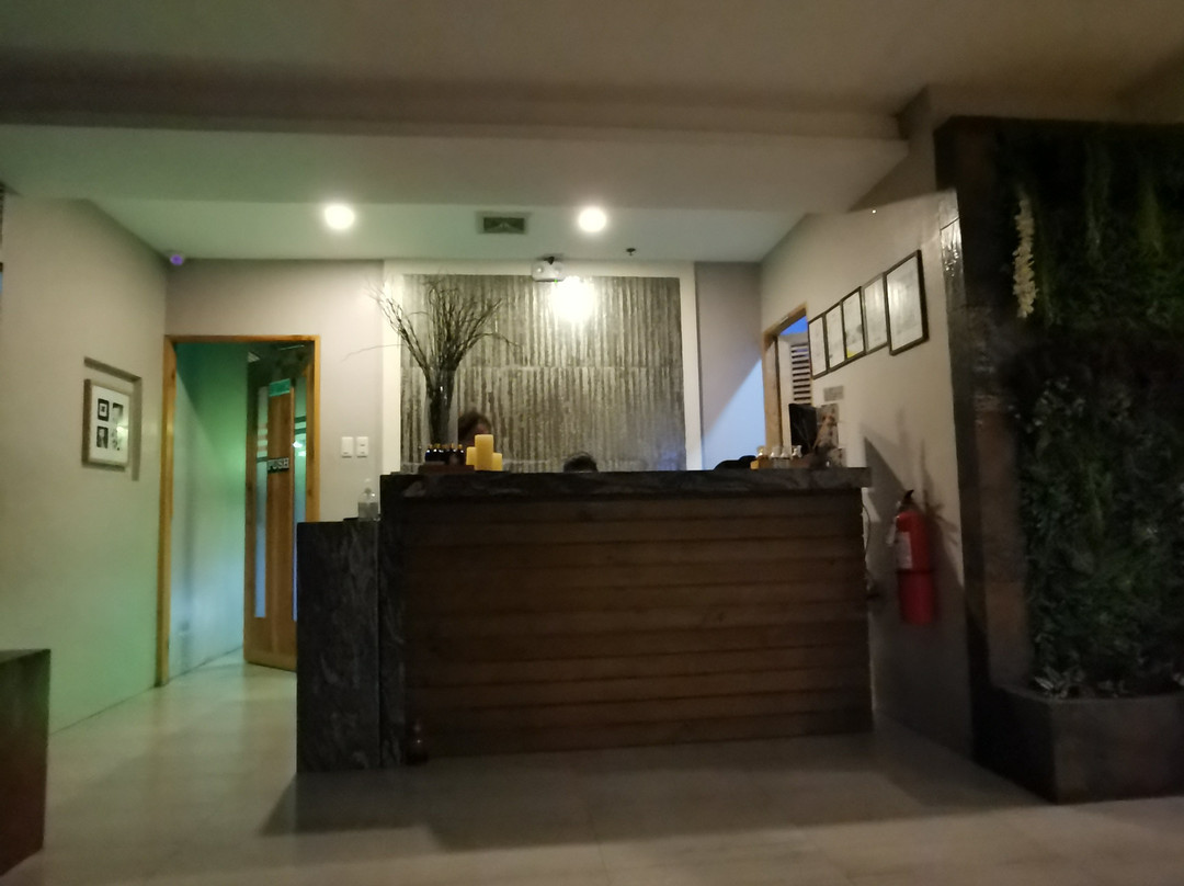 Medi Spa-宿雾市必去景点