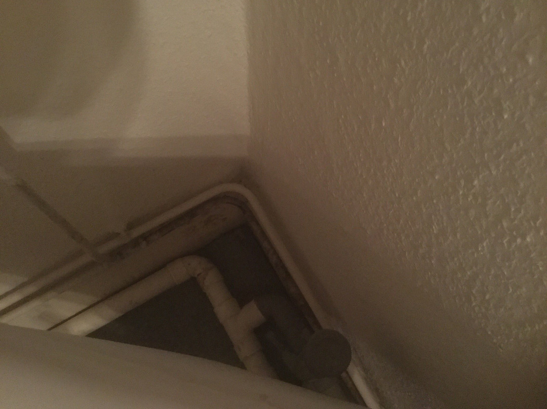 Hôtel de la Paix主图