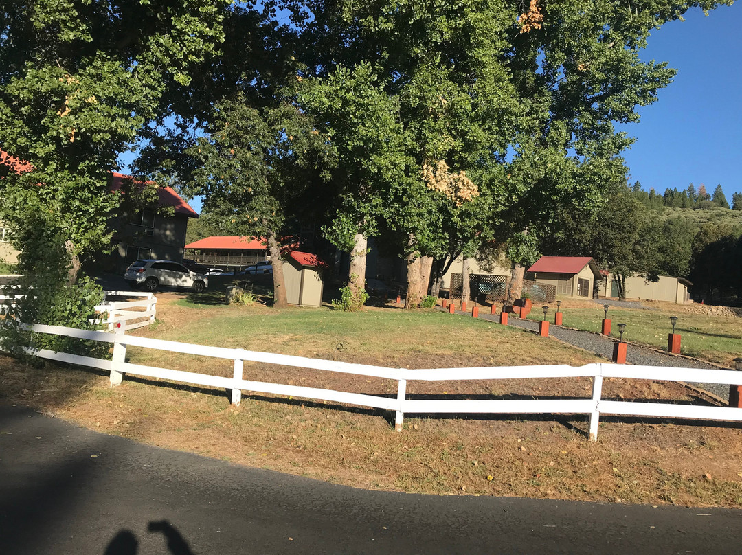 Buck Meadows Lodge主图