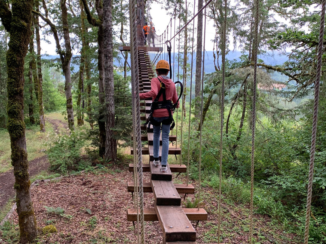 Tree to Tree Adventure Park-Gaston必去景点