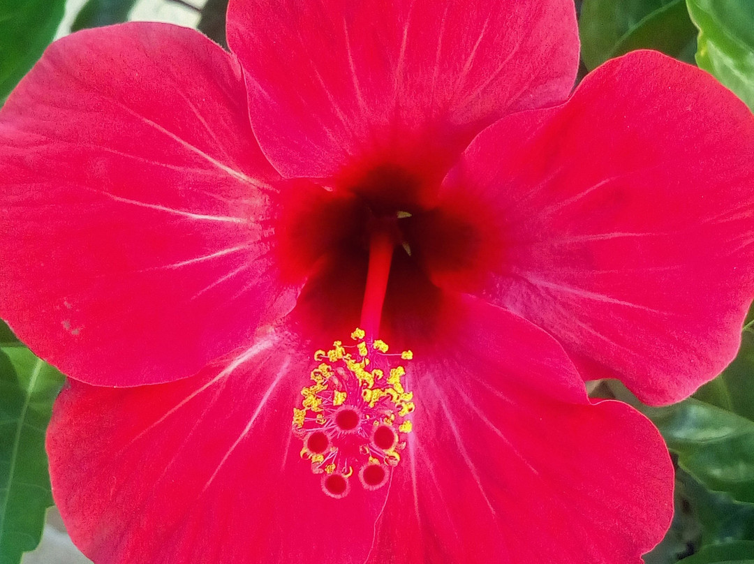 Studios Filippos主图