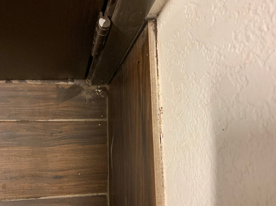 Super 8 by Wyndham Champaign主图